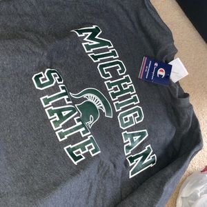 grey michigan state crewneck